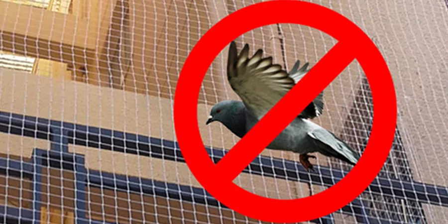 How to get rid of Pigeons