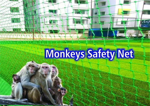 HOW DO WE GET RID OF MONKEYS FROM OUR BELONGING